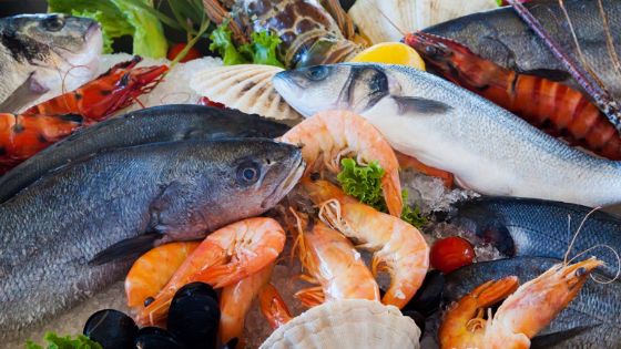 5 Effective Ways that Can Help You to Save Seafood for a Month or More
