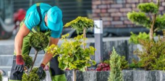 Best Garden Maintenance Ideas to Keep Your Garden Look Fresh in All Seasons