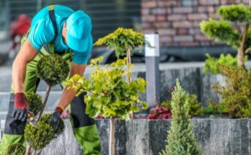 Best Garden Maintenance Ideas to Keep Your Garden Look Fresh in All Seasons