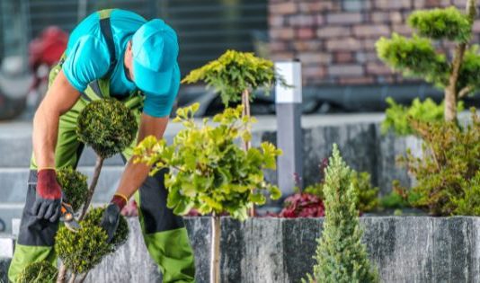 Best Garden Maintenance Ideas to Keep Your Garden Look Fresh in All Seasons