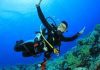 scuba diving in Malvan