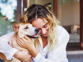 How to Properly Care for Senior Pets