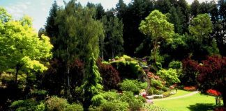 Landscaping Industry