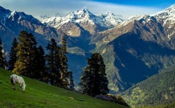 Sar Pass Trek The Perfect Guide For Everyone Sar Pass Trek