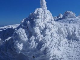 Snow Treks