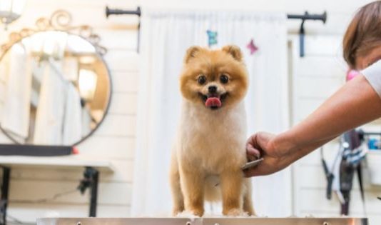 benefits of pet insurance