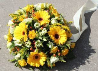 The Sympathy of Flowers: Why We Give Them on Funerals Sympathy of Flowers