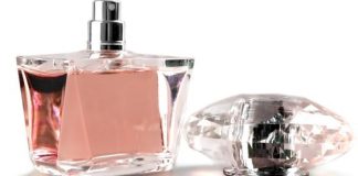 Which is the Best Calvin Klein Perfume for Women