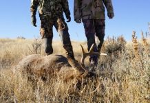 5 Ways to Become a Pro Deer Hunter