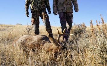5 Ways to Become a Pro Deer Hunter