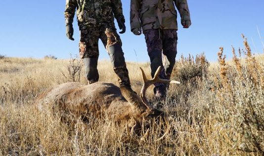 5 Ways to Become a Pro Deer Hunter