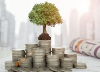 5 Environmentally Friendly Investments to Make for Your Business environmentally friendly investments to make for your business